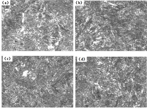 圖12-15 （a、b、c、d） 1～4號(hào)樣金相組織 500&times;