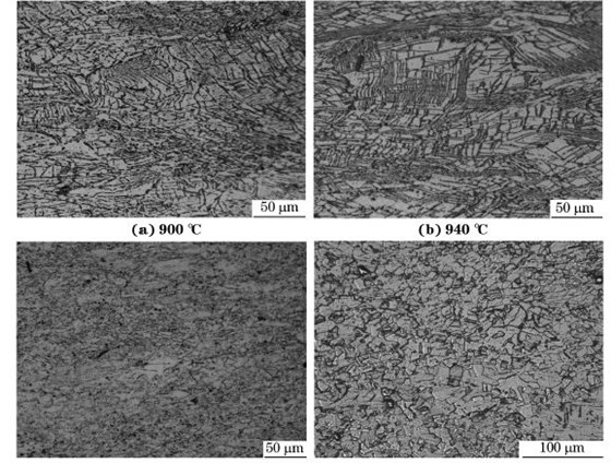 圖５ 在不同溫度、應變速率為０．０１０s－１下壓縮至應變量為７０％后GH４１６９合金的顯微組織