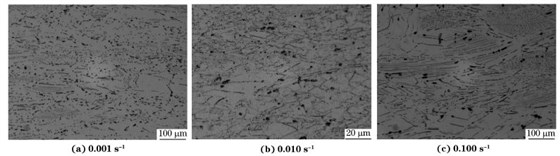 圖６ 在９８０ ℃、不同應變速率下壓縮至應變量為７０％后GH４１６９合金的顯微組織