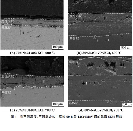 在不同溫度、不同混合鹽中腐蝕６０h后１２Cr１MoV鋼的截面SEM 形貌