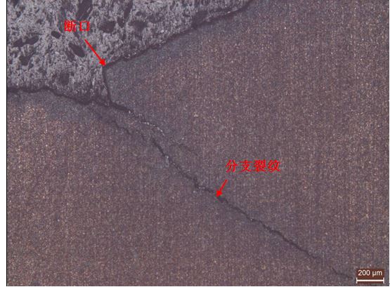 擴(kuò)展區(qū)縱橫截面金相組織