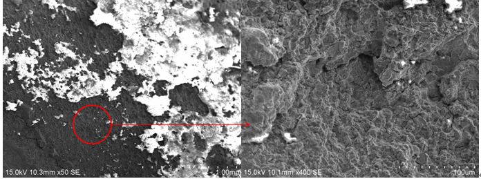 圖2 斷口源區(qū)宏、微觀形貌，沿晶特征+二次裂紋