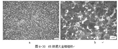 65鋼退火金相組織