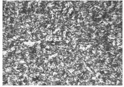 18Cr2Ni4WA原材料金相組織400&times;
