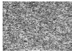 1Cr11Ni2W2MoV原材料金相組織200&times;