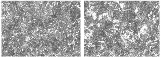 圖16-19 外圈處組織 500&times; 圖16-20中心處組織500&times;