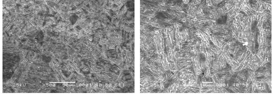 圖16-69 無裂紋件的組織形貌 500&times;圖16-70 無裂紋件的組織形貌 1000&times;