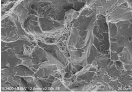 圖12-63 擴(kuò)展區(qū)斷口微觀形貌。