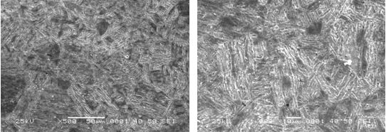 圖16-69 無裂紋件的組織形貌 500&times;圖16-70 無裂紋件的組織形貌 1000&times;