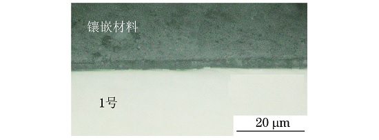 圖１ １號試樣表面氧化層形貌