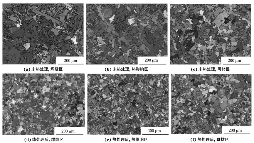 圖２ 熱處理前后焊接接頭焊縫區(qū)、熱影響區(qū)和母材區(qū)的取向成像圖