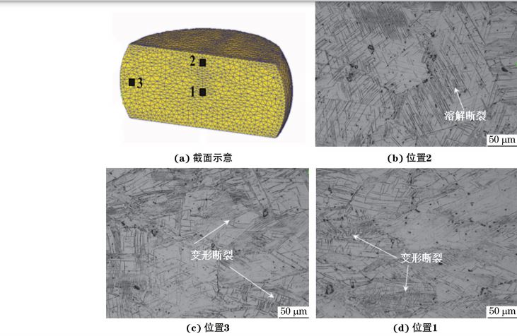 在９８０ ℃、應(yīng)變速率為０．０１０s－１下壓縮至應(yīng)變量為３０％后
