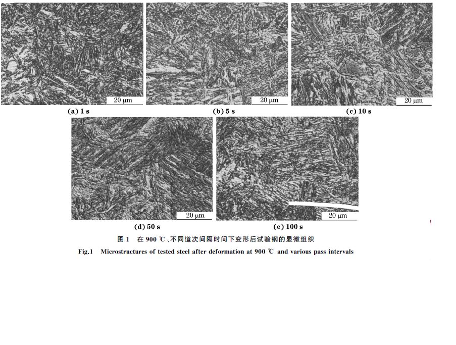 圖１ 在９００ ℃、不同道次間隔時間下變形后試驗鋼的顯微組織