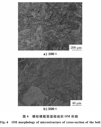圖4 螺栓橫截面顯微組織 OM 形貌 圖4 螺栓橫截面顯微組織 OM 形貌